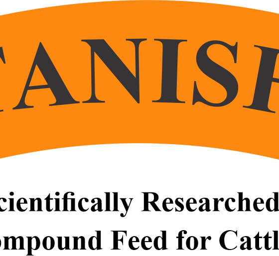 tanish
